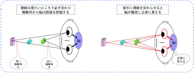 視線は見たいところで必ず交わり輻輳角から脳は距離を把握する／強引に視線を交わらせると脳が錯覚し立体に見える